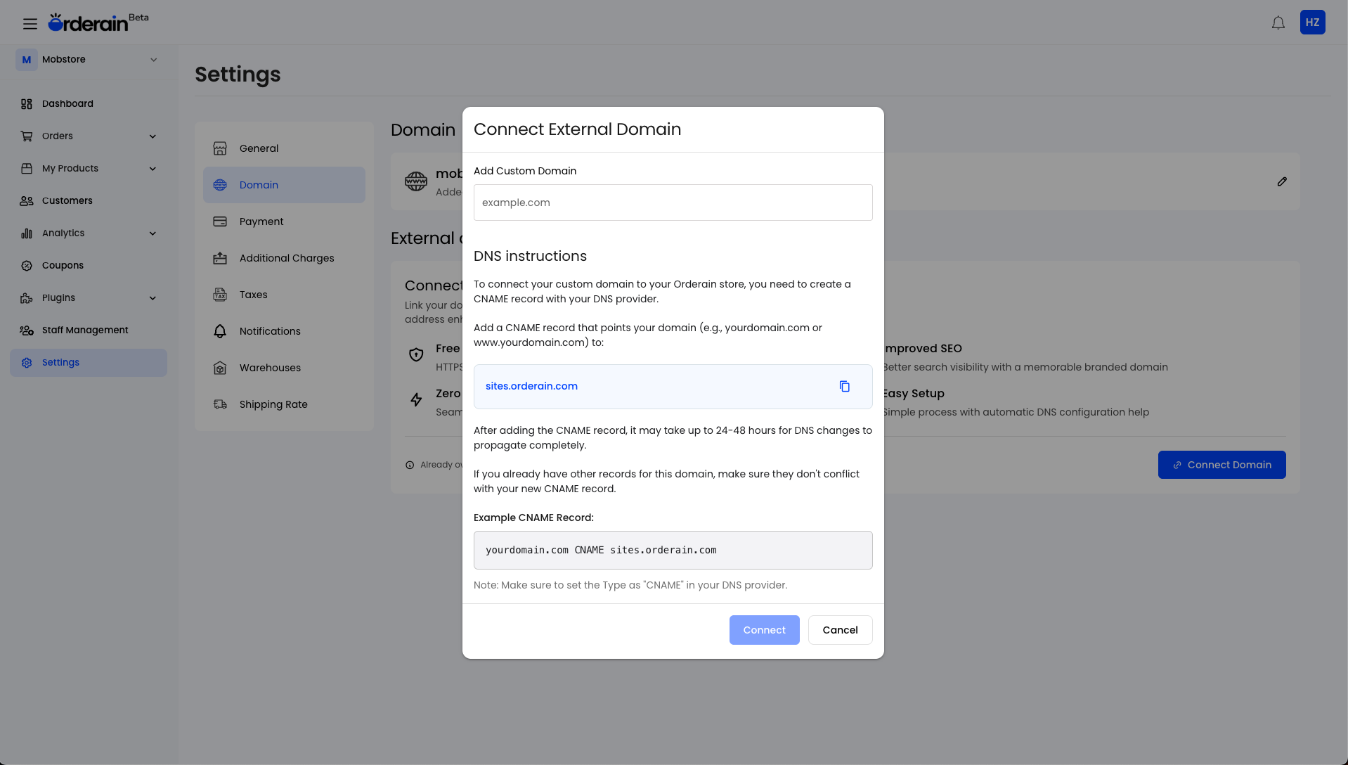 Custom domain setup and DNS configuration for ecommerce stores